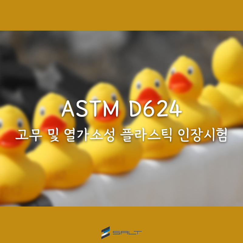 대표사진 수정용.png