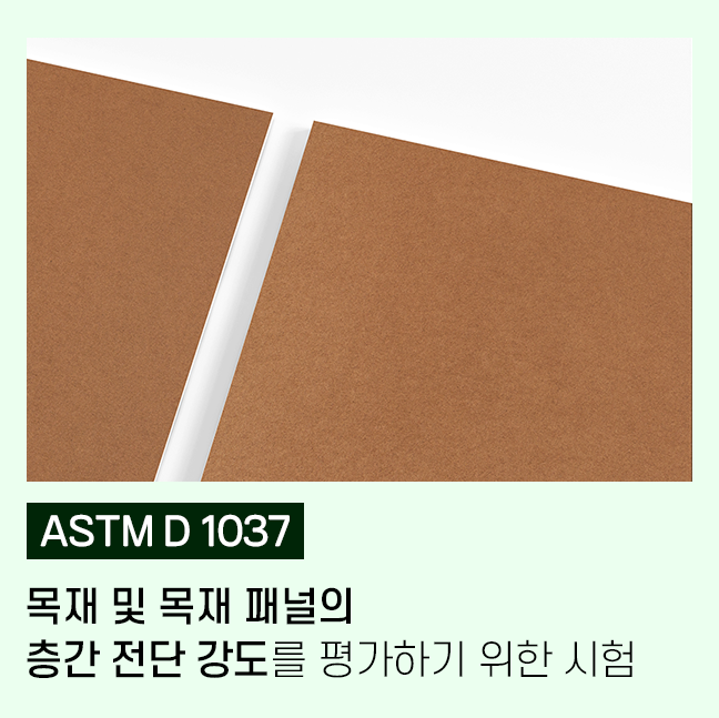 대표사진.png